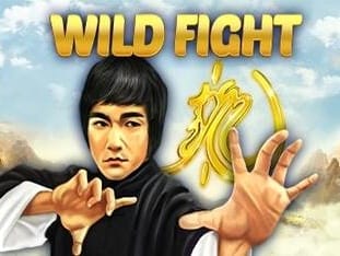 Wild Fight game thumbnail